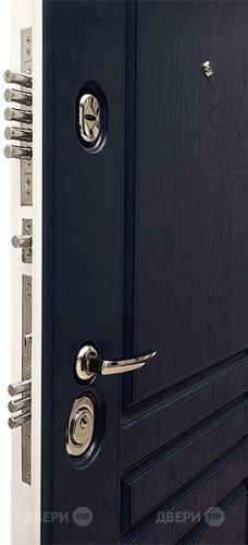 Входная металлическая Дверь Сударь МД-45 в Фрязино