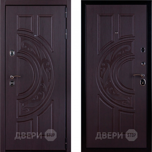 Дверь Меркурий в Фрязино